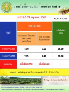ราคารับซื้อผลปาล์มน้ำมันจังหวัดพังงา