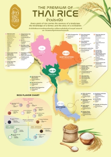 DISCOVER THAI PREMIUM FRUIT & FINEST RICE