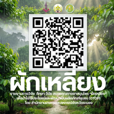 E-bookรายงานการศึกษาวิจัยสรรพคุณทางยาสมุนไพร