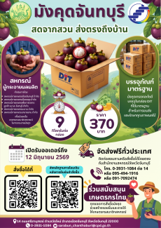 เชิญชวนสั่งซื้อมังคุดจันทบุรี