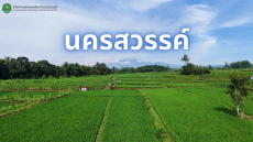 โครงการพัฒนาและส่งเสริมด้านการเกษตรและอุตสาหกรรมฐานชีวภาพ