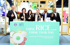 พาณิชย์ปลื้มดันยอดขายผู้ส่งออกข้าวไทยรายย่อยทะลุ