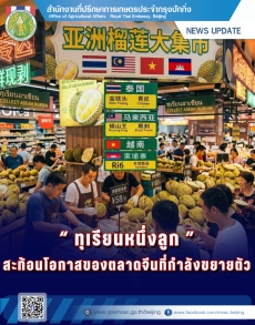 ทุเรียนหนึ่งลูก:สะท้อนโอกาสของตลาดจีนที่กำลังขยายตัว