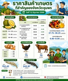 ราคาสินค้าเกษตรที่สำคัญของจังหวัดชุมพร