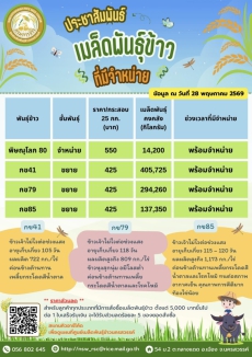 เมล็ดพันธุ์ข้าวที่มีจำหน่าย