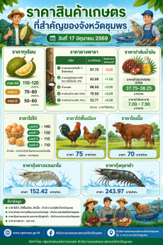 ราคาสินค้าเกษตรที่สำคัญของจังหวัดชุมพรประจำวันที่