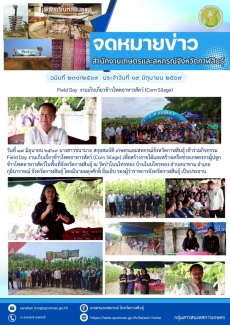 Field Day งานเก็บเกี่ยวข้าวโพดอาหารสัตว์ (Corn Silage)
