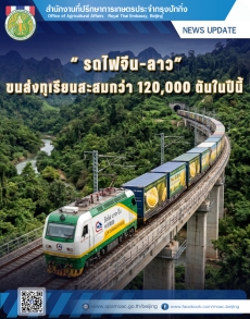 รถไฟจีน–ลาวขนส่งทุเรียนสะสมกว่า 120,000 ตันในปีนี้