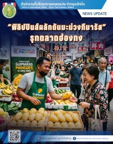 ฟิลิปปินส์ผลักดันมะม่วงกีมารัสรุกตลาดฮ่องกง
