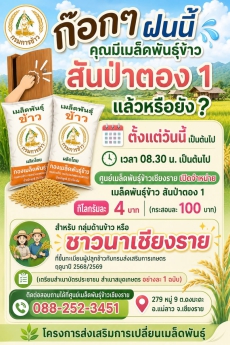 ก๊อกๆฝนนี้คุณมีเมล็ดพันธุ์ข้าว