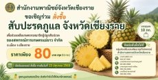 ขอเชิญร่วมสั่งซื้อ สับปะรดภูแล จังหวัดเชียงราย