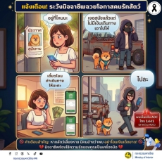 แจ้งเตือน ระวังมิจฉาชีพฉวยโอกาสคนรักสัตว์