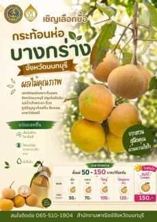 เชิญชวนเลือกซื้อ กระท้อนห่อบางกร่าง