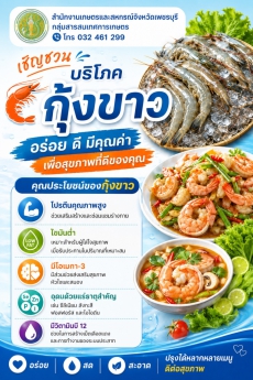 เชิญชวนบริโภคกุ้งขาวอร่อยมีคุณค่าสดใหม่จากเกษตรกรไทย
