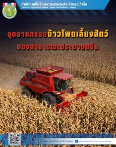 ข้อมูลอุตสาหกรรมและการนำเข้าข้าวโพดเลี้ยงสัตว์ของสาธารณรัฐประชาชนจีน