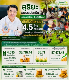 สรุปตัวเลขสำคัญจากผลการประเมิน