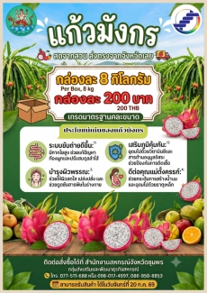 ประชาสัมพันธ์ แก้วมังกร สดจาดสวน ส่งตรงจากจังหวัดเลย