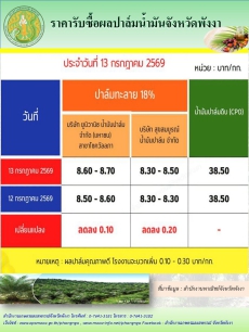 ราคารับซื้อผลปาล์มน้ำมันจังหวัดพังงา