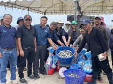 กิจกรรมลงแขกลงคลองกำจัดปลาหมอคางดำในแหล่งน้ำธรรมชาติพื้นที่จังหวัดเพชรบุรี