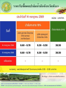 ราคารับซื้อผลปาล์มน้ำมันจังหวัดพังงา