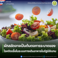 ผักสลัดอาจเป็นต้นตอการระบาดของโรคติดเชื้อในระบบทางเดินอาหารในรัฐมิชิแกน