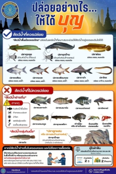 ปล่อยปลาอย่างไรให้ได้บุญ