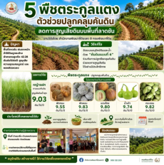 กรมพัฒนาที่ดินชวนปลูก5พืชตระกูลแตงช่วยคลุมคันดิน