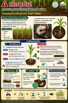 กองส่งเสริมการอารักขาพืชและจัดการดินปุ๋ย
