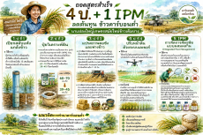 ถอดสูตรสำเร็จ 4 ป. + 1 IPM