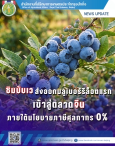 ซิมบับเวส่งออกบลูเบอร์รีล็อตแรกเข้าสู่ตลาดจีน