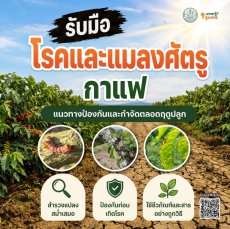 รับมือโรคและแมลงศัตรู