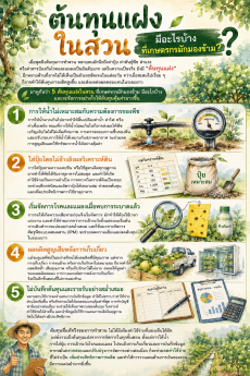 ต้นทุนแฝงในสวน มีอะไรบ้างที่เกษตรกรมักมองข้าม?