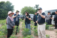 ดร.พงศ์ไท ไทโยธิน ผู้ตรวจราชการกระทรวงเกษตรและสหกรณ์ เขตตรวจราชการที่ 18 ลงพื้นที่ตรวจติดตามการปลูกมันสำปะหลังพันธุ์อิทธิ 1