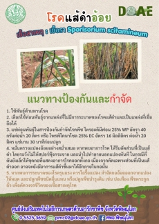ศทอ.พิษณุโลกแจ้งเฝ้าระวังและหมั่นสำรวจแปลง