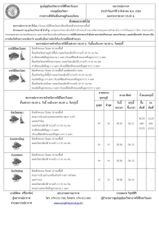 พยากรณ์อากาศ ประจำวันที่ 8 สิงหาคม 2569