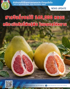 ศาลจีนสั่งชดใช้340,000หยวนคดีละเมิดสิทธิพันธุ์พืช