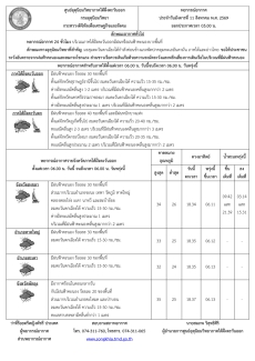 พยากรณ์อากาศ ประจำวันที่ 11 สิงหาคม 2569