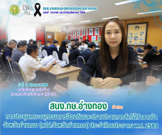 การประชุมคณะอนุกรรมการป้องกันและปราบปรามการตัดไม้ทําลายป่าจังหวัดอ่างทอง