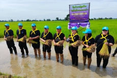 เกษตรและสหกรณ์จังหวัดศรีสะเกษ