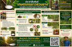 ประชาสัมพันธ์เกษตรกรชาวสวนยาง