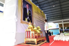 โครงการปกป้องและเชิดชูสถาบันพระมหากษัตริย์