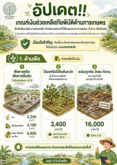 อัปเดต เกณฑ์เงินช่วยเหลือภัยพิบัติด้านการเกษตร