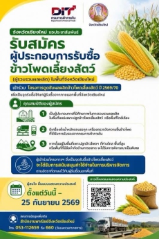 จังหวัดเชียงใหม่ขอเชิญชวนผู้ประกอบการเข้าร่วมโครงการดูดซับผลผลิตข้าวโพดเลี้ยงสัตว์