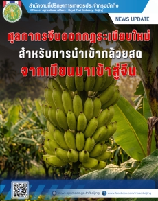 กฎระเบียบใหม่สำหรับการส่งออกกล้วยสดจากเมียนมาไปยังจีน