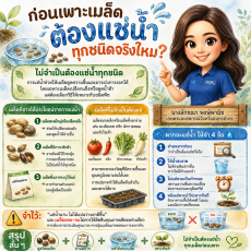 ก่อนเพาะเมล็ด ต้องแช่น้ำทุกชนิดจริงไหม?
