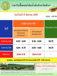 ราคารับซื้อผลปาล์มน้ำมันจังหวัดพังงา