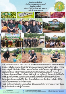 เข้าร่วมกิจกรรมปลูกต้นไม้