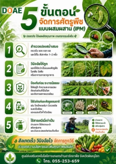 รู้ทันศัตรูพืช จัดการอย่างถูกวิธี ด้วย 5 ขั้นตอน IPM
