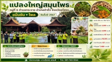 วามสำเร็จของการรวมกลุ่มเกษตรกรเข้มแข็งที่จัดตั้งขึ้นเมื่อปี
