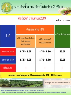ราคารับซื้อผลปาล์มน้ำมันจังหวัดพังงา